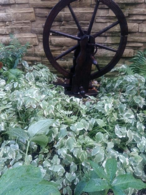 received_289114631866037 - Gradina 2018