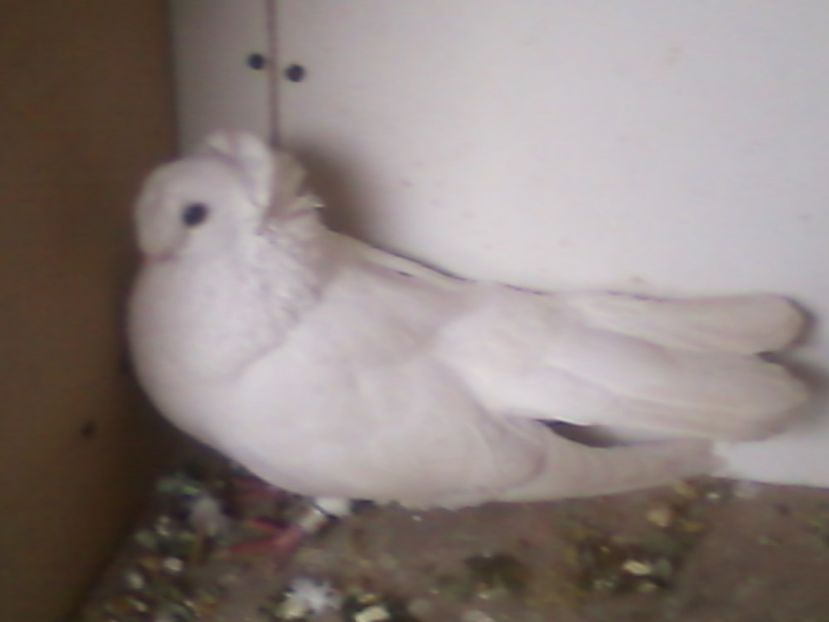 Fotografie-0003 - Generatii trecute