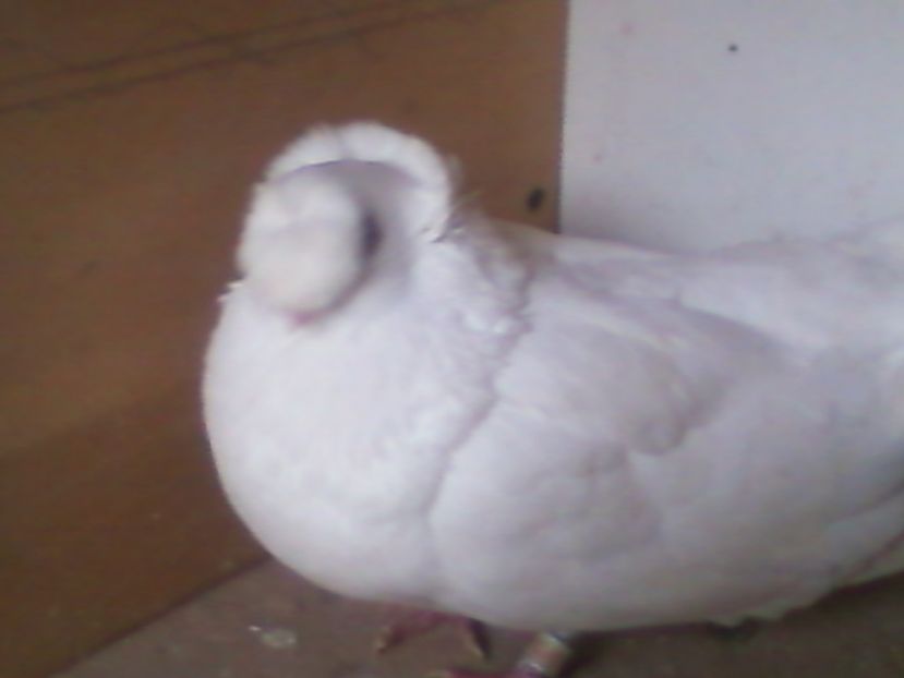 Fotografie-0006 - Generatii trecute