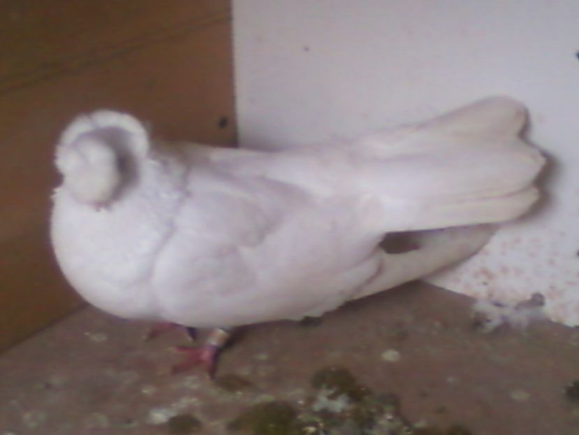 Fotografie-0007 - Generatii trecute