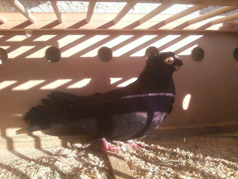 Fotografie-0002 - Generatii trecute