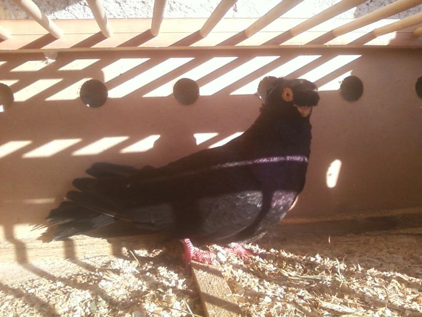 Fotografie-0004 - Generatii trecute