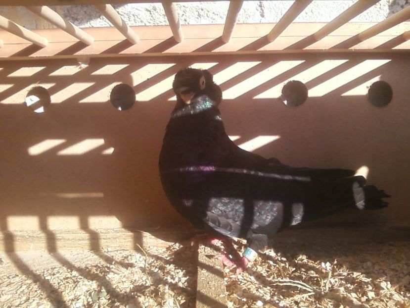 Fotografie-0005 - Generatii trecute