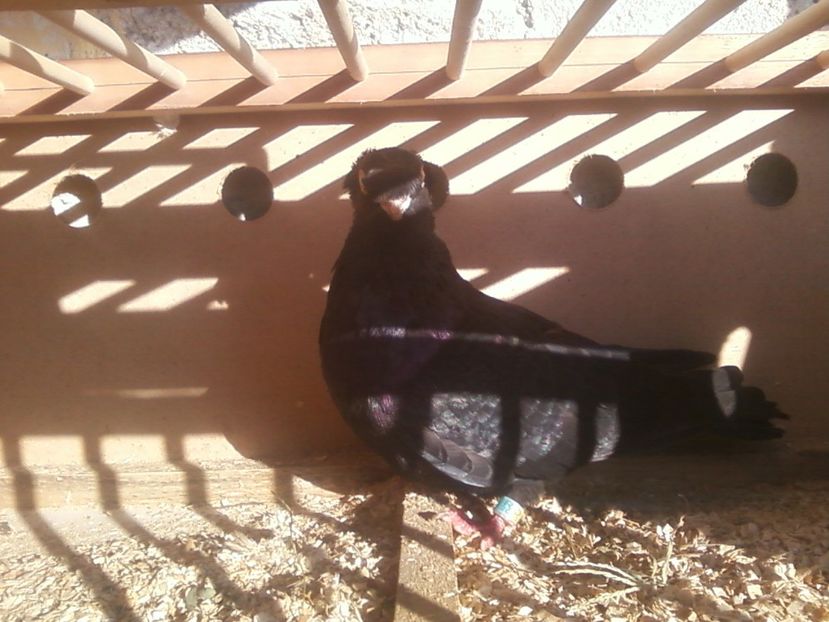 Fotografie-0006 - Generatii trecute