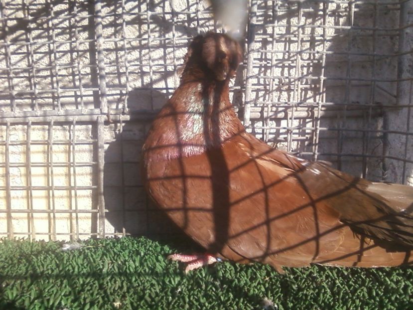 Fotografie-0008 - Generatii trecute