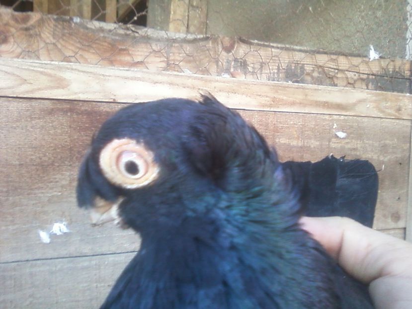 Fotografie-0010 - Generatii trecute