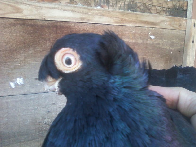 Fotografie-0011 - Generatii trecute