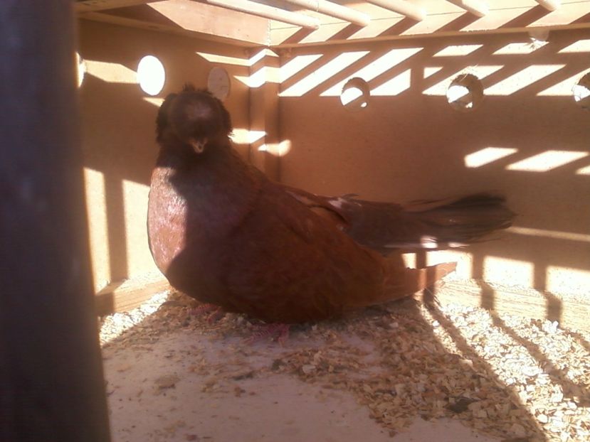 Fotografie-0012 - Generatii trecute