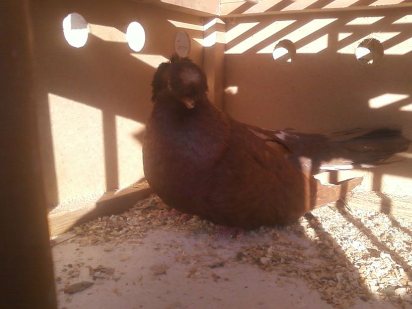 Fotografie-0013 - Generatii trecute