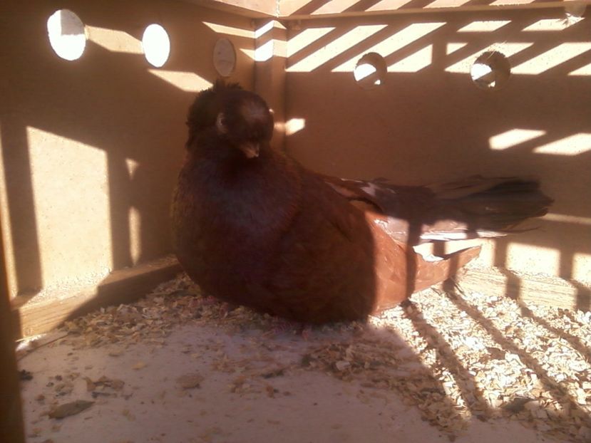 Fotografie-0014 - Generatii trecute