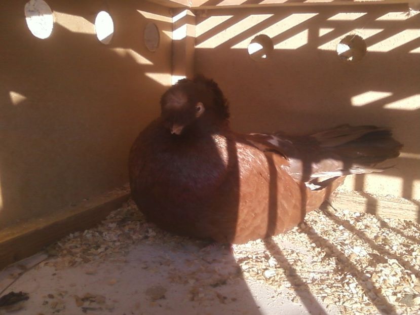 Fotografie-0015 - Generatii trecute