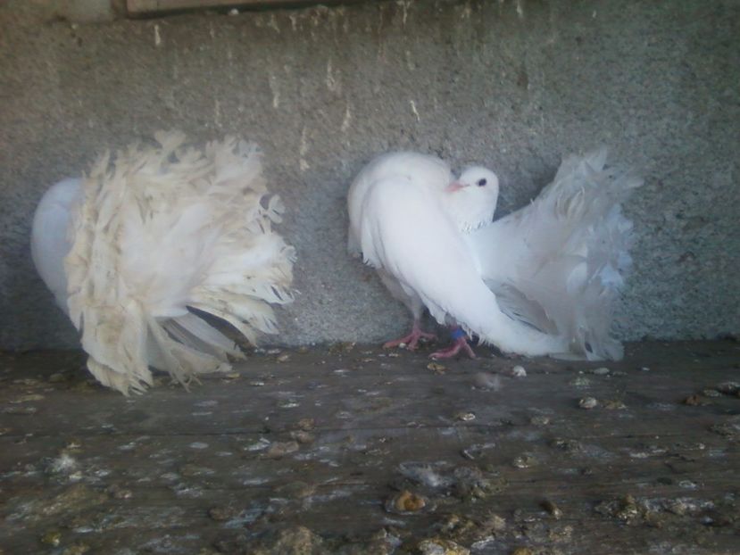 Fotografie-0017 - Generatii trecute