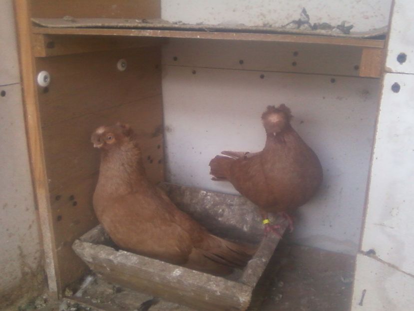 Fotografie-0003 - Generatii trecute