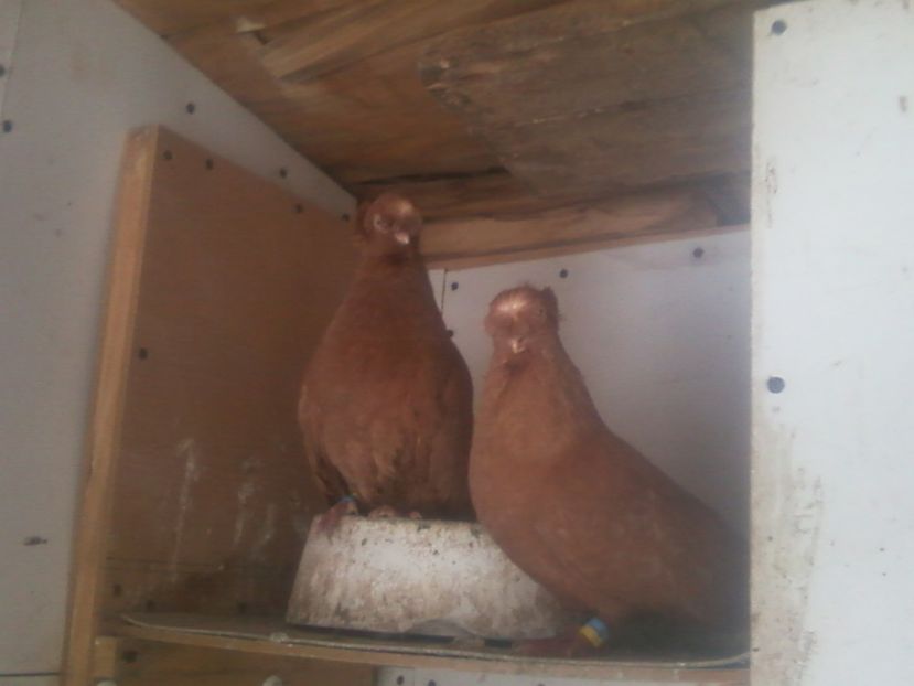 Fotografie-0004 - Generatii trecute