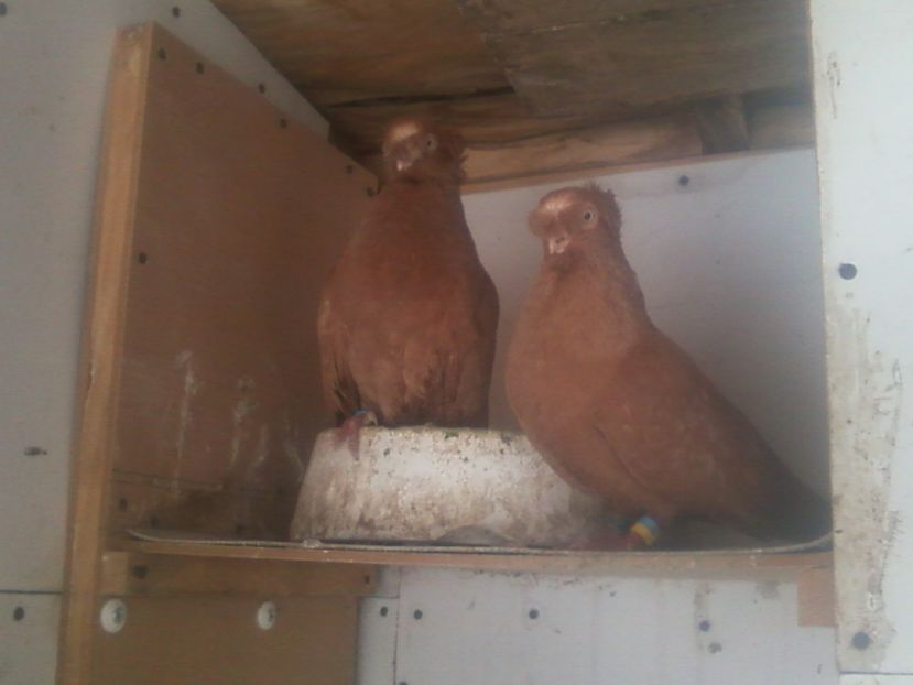 Fotografie-0005 - Generatii trecute