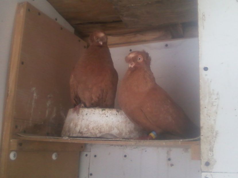 Fotografie-0006 - Generatii trecute