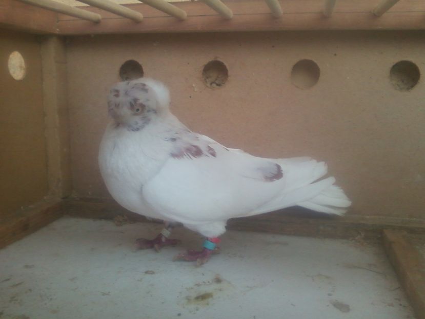 Fotografie-0007 - Generatii trecute