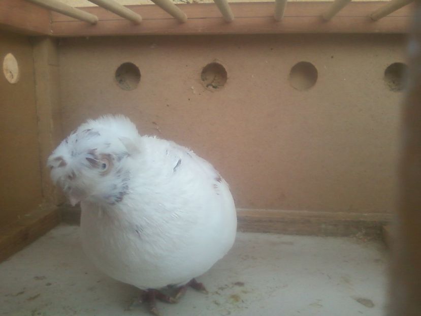 Fotografie-0009 - Generatii trecute