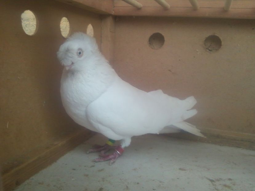 Fotografie-0011 - Generatii trecute