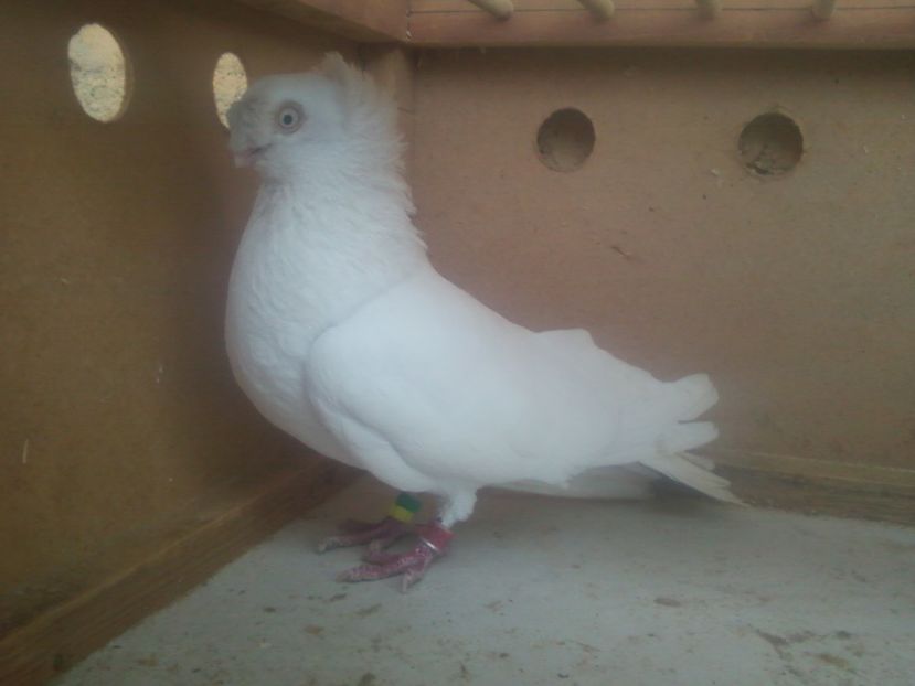 Fotografie-0012 - Generatii trecute