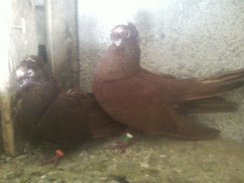 Fotografie-0015 - Generatii trecute