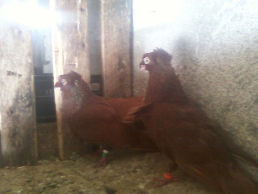 Fotografie-0016 - Generatii trecute