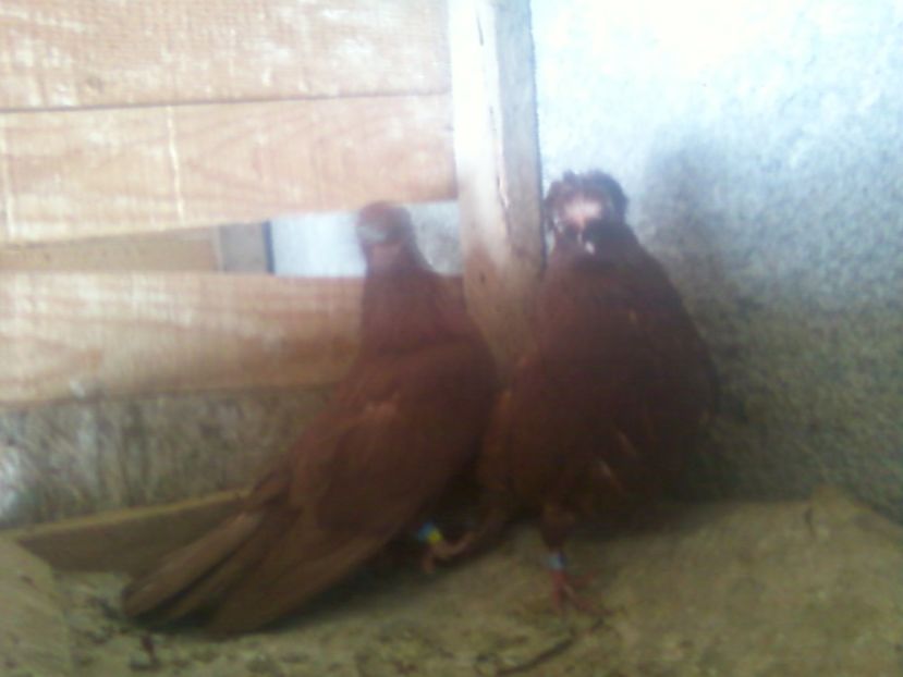 Fotografie-0017 - Generatii trecute