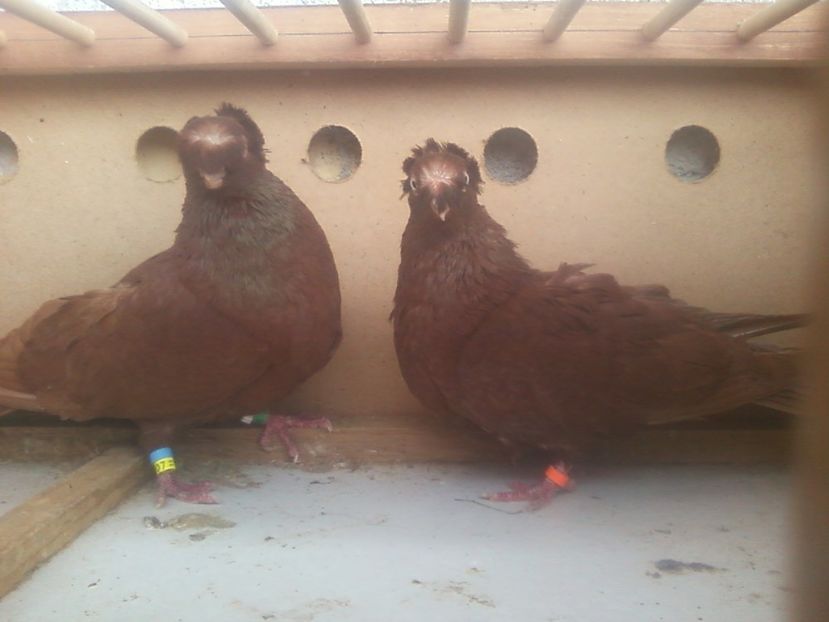 Fotografie-0022 - Generatii trecute