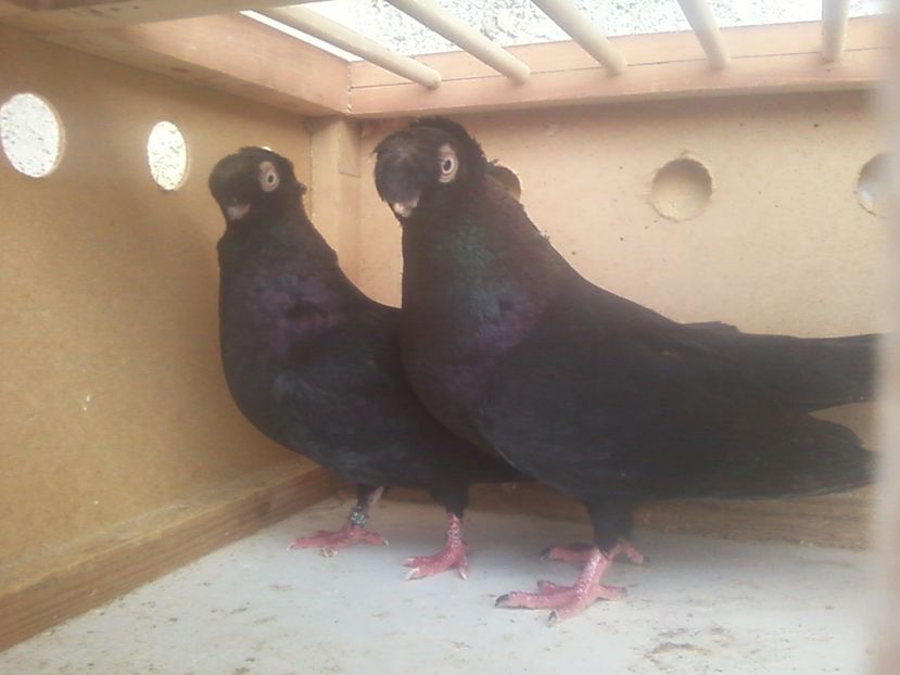 Fotografie-0024 - Generatii trecute