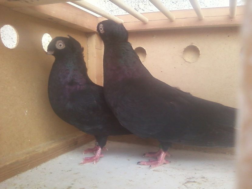 Fotografie-0025 - Generatii trecute