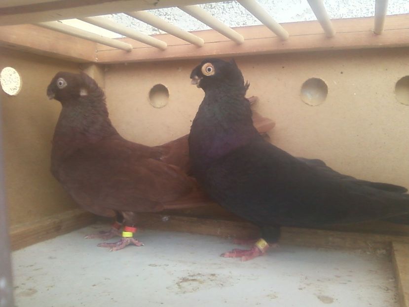 Fotografie-0026 - Generatii trecute