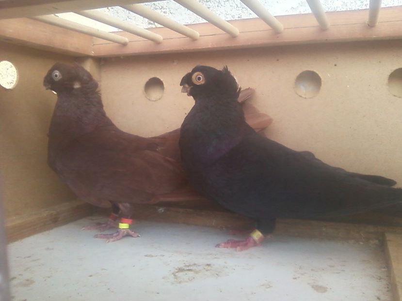 Fotografie-0027 - Generatii trecute