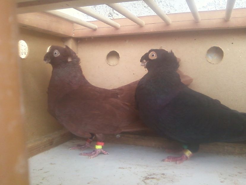 Fotografie-0028 - Generatii trecute