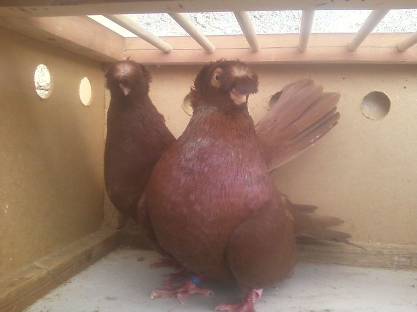 Fotografie-0031 - Generatii trecute