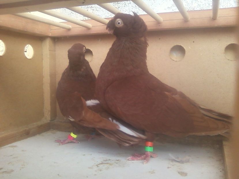 Fotografie-0033 - Generatii trecute