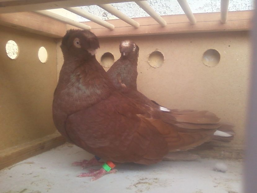 Fotografie-0034 - Generatii trecute