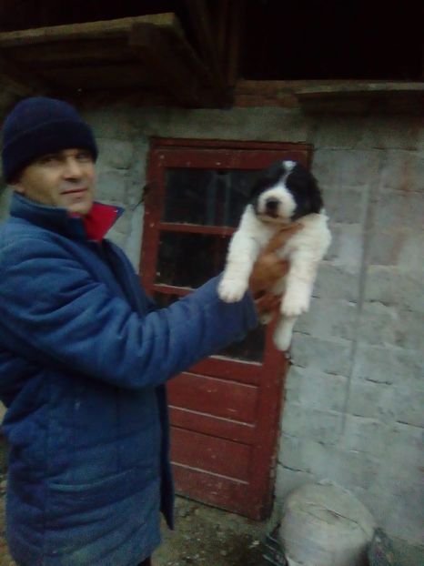 IMG-20181107-WA0108 - Maia 2018