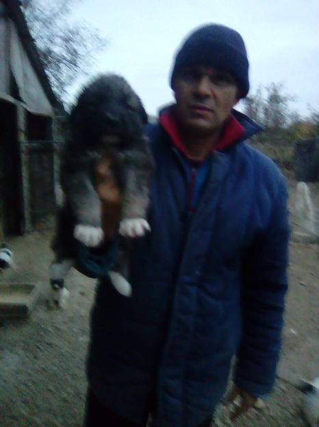 IMG-20181107-WA0105 - Maia 2018