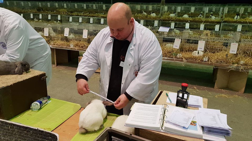  - EXPOZIȚIA EUROPEANĂ - HERNING 2018