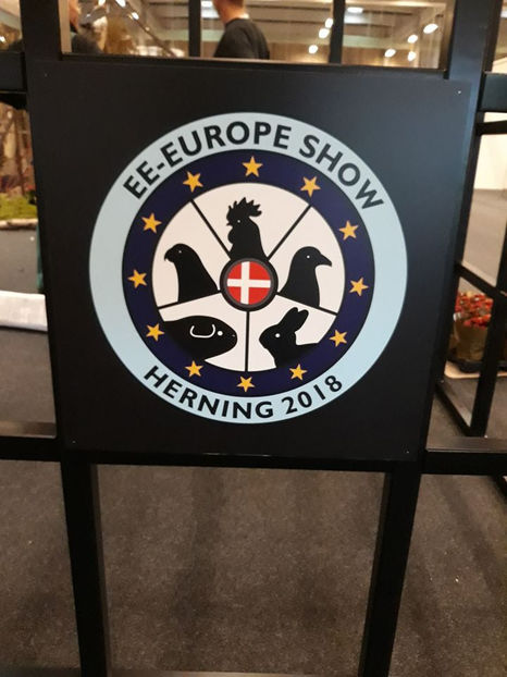  - EXPOZIȚIA EUROPEANĂ - HERNING 2018