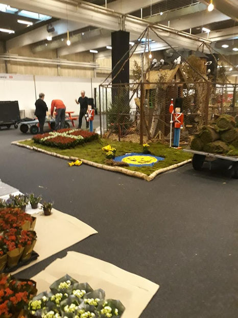  - EXPOZIȚIA EUROPEANĂ - HERNING 2018