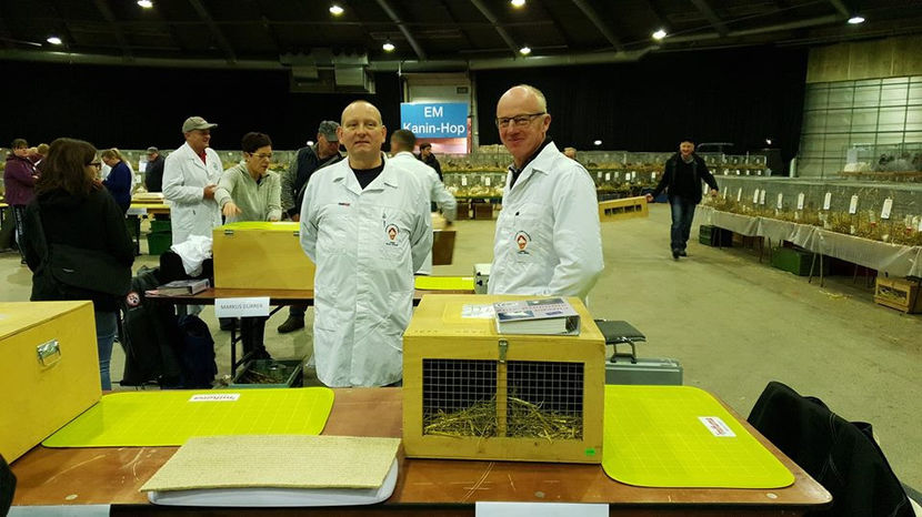  - EXPOZIȚIA EUROPEANĂ - HERNING 2018