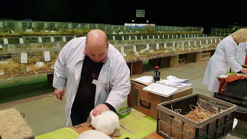  - EXPOZIȚIA EUROPEANĂ - HERNING 2018