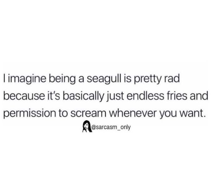 77BB9B6B-17DE-4DCD-BBC9-EEA9FC20DB35 - u pennywise the dancing clown