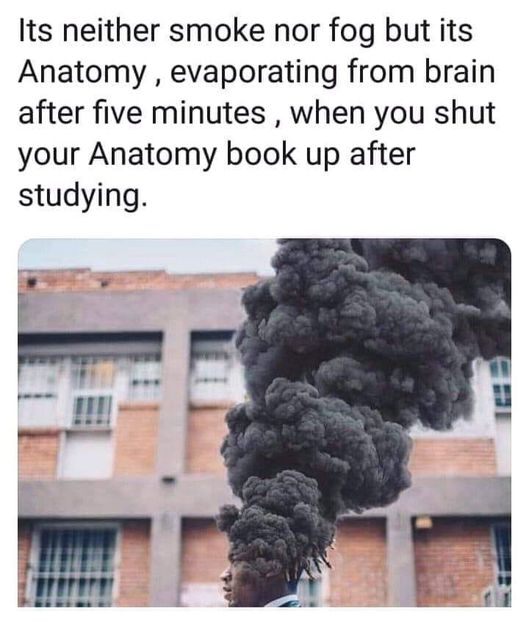 7E93BE89-A44B-4078-9525-10E5F28C350A - u pennywise the dancing clown