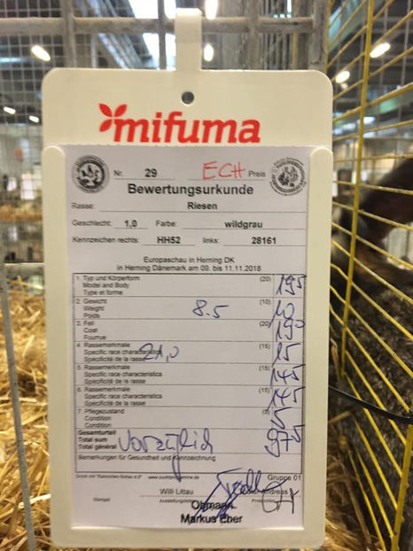 HH52 Campionul European -97,5 pct - EXPOZIȚIA EUROPEANĂ - HERNING 2018