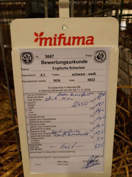  - 0 - REZ EXPO EURO DANEMARCA 2018