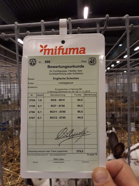  - 0 - REZ EXPO EURO DANEMARCA 2018