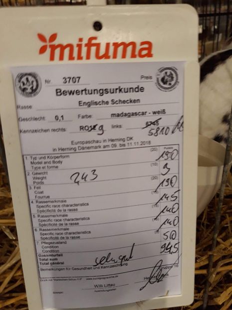  - 0 - REZ EXPO EURO DANEMARCA 2018