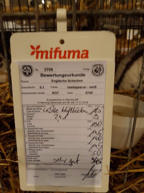  - 0 - REZ EXPO EURO DANEMARCA 2018